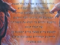 ספרים - תמונה: 5